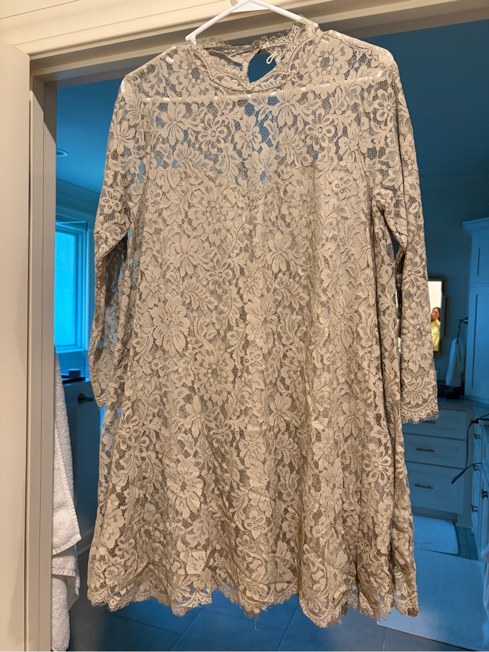 Show Me Your Mumu Cream Lace Long Sleeve Mini Dress